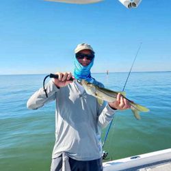 Outdoor adventure in Crystal River