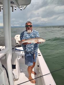 Redfish caught in Crystal River, Florida