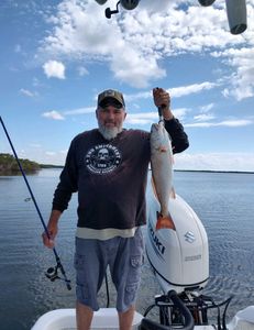 Angler holding large redfish in Crystal River