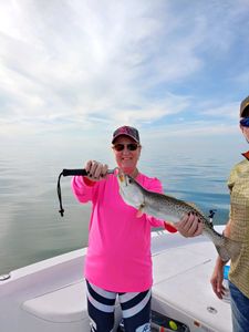 Spotted Weakfish, 22 inches, fishing in MI