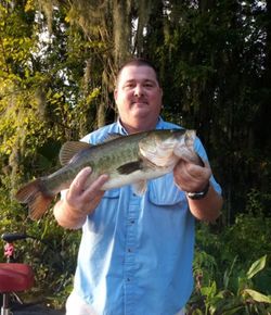 Florida freshwater favorites.