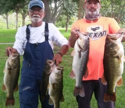 4 Largemouth Bass caught in FL