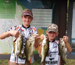 Four largemouth bass caught while fishing in Crystal River