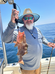 Barred Sand Bass caught fishing in FL