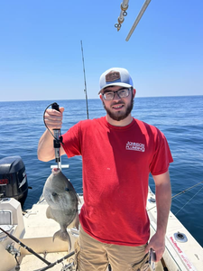Catching a Grey Triggerfish in Florida