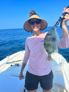 Grey Triggerfish caught while fishing in Carrabelle