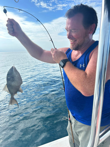 Grey Triggerfish caught fishing in FL