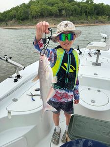 Levi lands another solid Lake Texoma blue catfish!