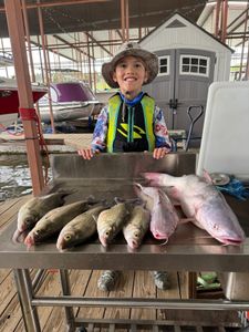 Happy Levi with hefty striped bass and catfish!