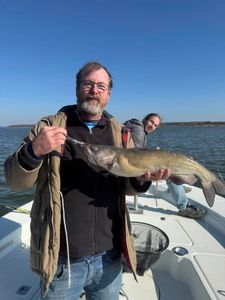 A photo of a big channel catfish caught while fishing in Gordonville