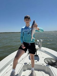 A blue catfish measuring 17 inches, caught while fishing in TX