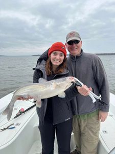 One big blue catfish caught in Gordonville