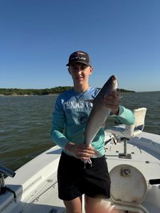 One blue catfish caught while fishing in Gordonville