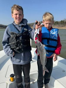Blue catfish, 16-inch fish caught while fishing in TX