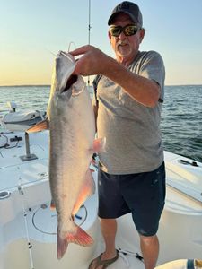 Channel catfish caught in TX