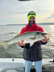 Impressive striped bass caught on fishing trip in TX