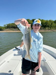Striped bass catch in Gordonville