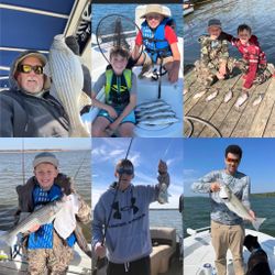3 striped bass caught while fishing in Gordonville