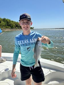 A striped bass caught in TX