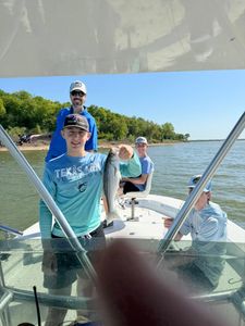 Striped bass caught in TX