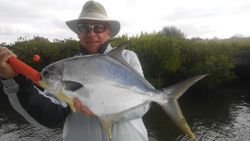 Longfin Yellowtail, a 24-inch trophy fish caught in FL