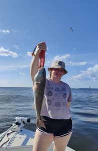 Redfish caught while fishing in Ruskin FL waters