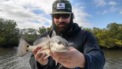 Redfish caught in FL while fishing