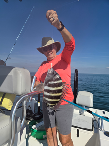 Nice sheepshead caught using deep sea jigging techniques in clear conditions!