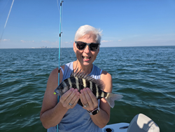 Nice sheepshead caught using deep sea jigging techniques in clear conditions.