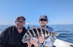Two anglers holding a caught sheepshead fish on a boat in Ruskin FL waters