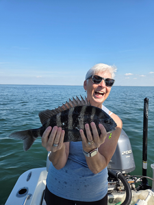 Nice sheepshead caught using deep sea jigging techniques in clear conditions!