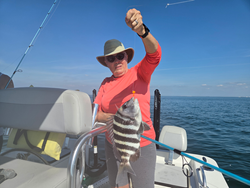 Nice sheepshead caught using deep sea jigging techniques in clear conditions!