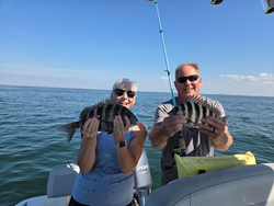 Nice sheepshead action today using deep sea jigging techniques!