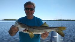 Snook, a 24-inch saltwater fish, caught in FL