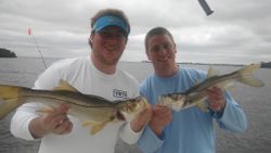Two Snook fish caught in Ruskin, Florida