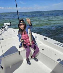 Speckled trout catch on fishing boat in Ruskin FL waters