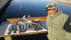 Two spotted weakfish caught in FL