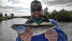 Spotted Weakfish caught in Ruskin