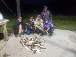 Redfish and Sheepshead in Delacroix, LA