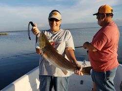 Louisiana Redfish