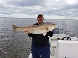 Louisiana Redfish