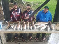 A group of 6 redfish and crevalle jack caught while fishing in Saint Bernard