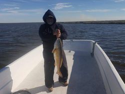 Angler with big fish in LA