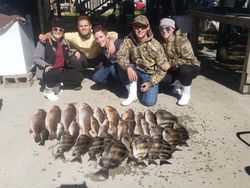 Three fish caught by five people in Saint Bernard