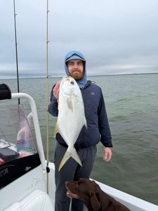 Two Florida pompano fish caught while fishing in FL