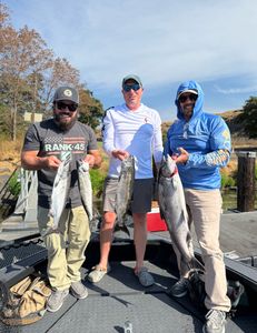 Four Chinook salmon caught during a fishing trip in Irrigon