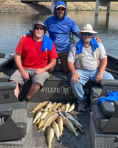 4 fish caught during fishing trip in Oregon