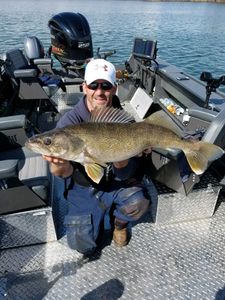 Pike-Perch fish caught in OR during fishing