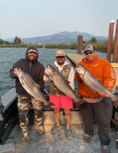 Three rainbow trout and chinook salmon in Irrigon
