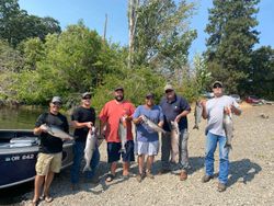 Six bluefish caught during a fishing trip in OR